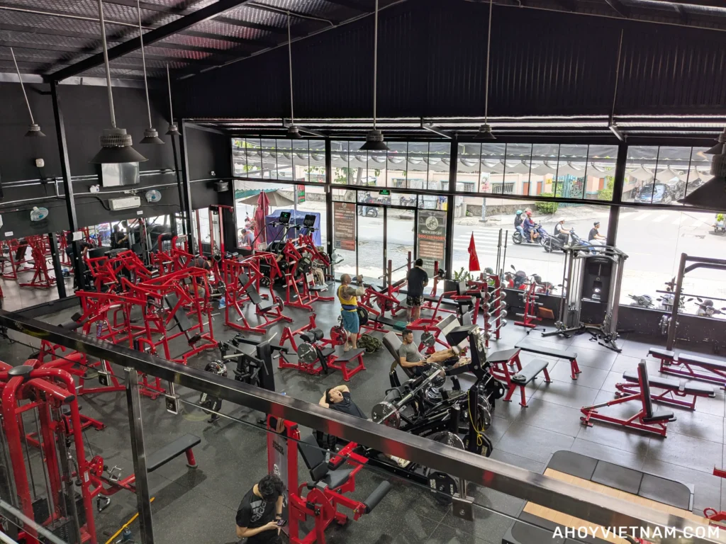 Inside Gorilla Gym in Thao Dien, Ho Chi Minh City