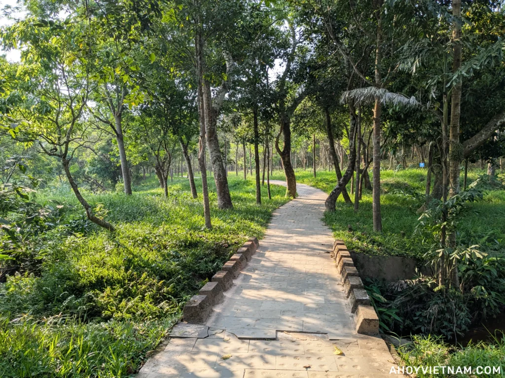A stone path through the woods at My Son Sanctuary in Vietnam
