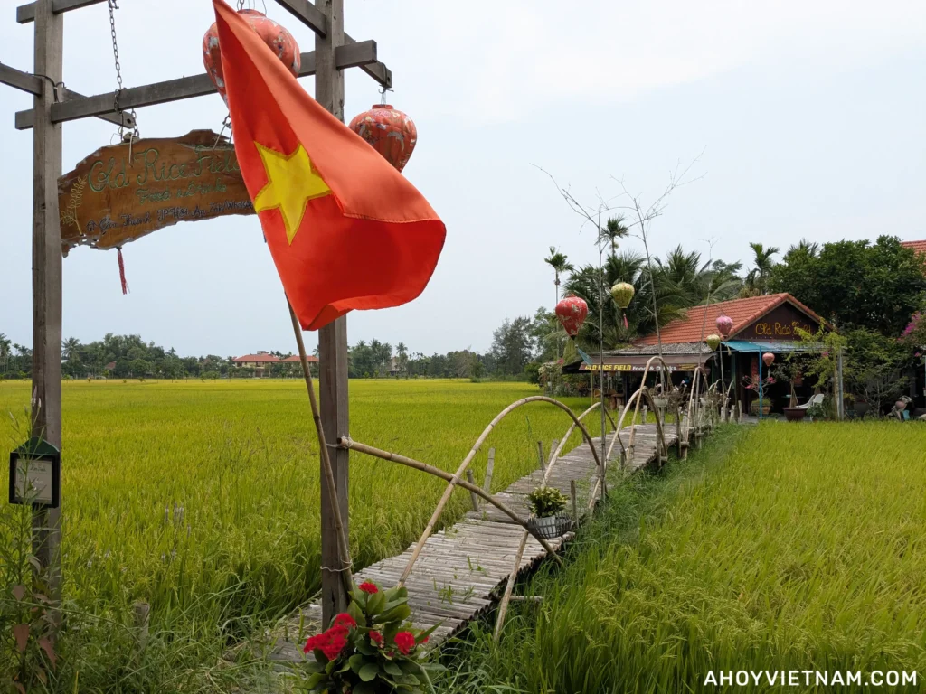 Old Rice Field Cafe in the middle of rice fields in Hoi An, Vietnam