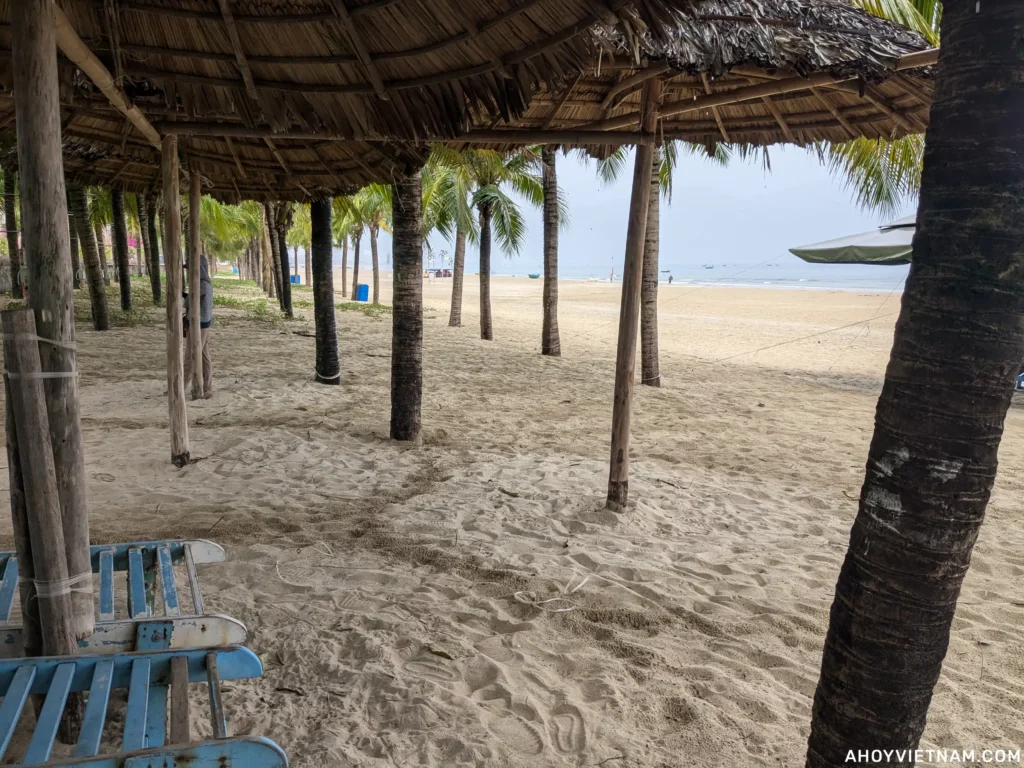 Hiding under the palm trees during a rainy day on My Khe Beach in Da Nang in September.