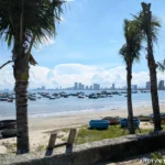 The coastline in Da Nang, Vietnam, with palm trees, fishing boats, and hotels in the distance