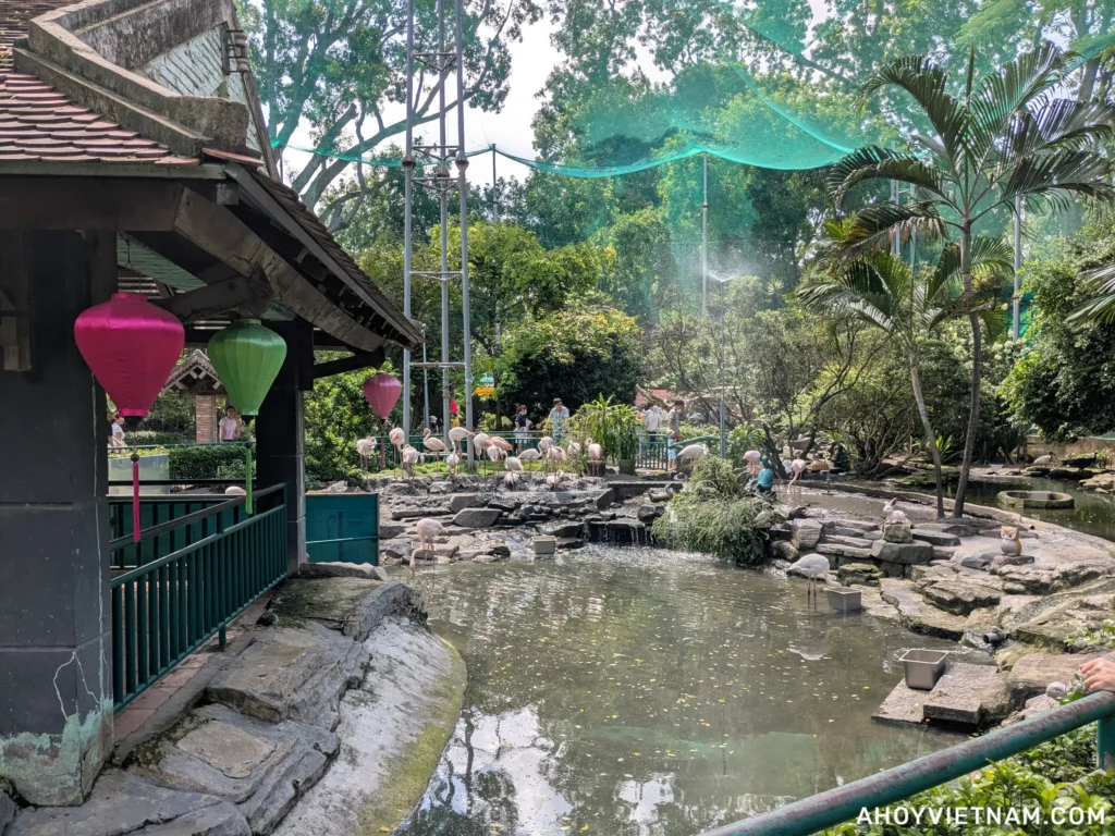 Inside the Flamingo Garden at the Saigon Zoo & Botanical Gardens in Ho Chi Minh City